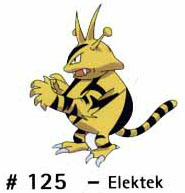 N 125 Elektek
